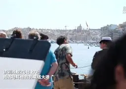 萨克拉门托国王训练开放日，赛前强势反弹引欢呼，意大利杯在即，球探报告显示潜力的简单介绍