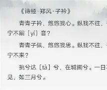 子衿完整版原文-九游下载安装
